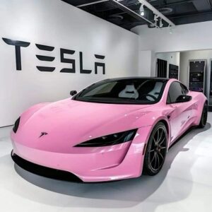 Pink Aesthetics _Tesla_